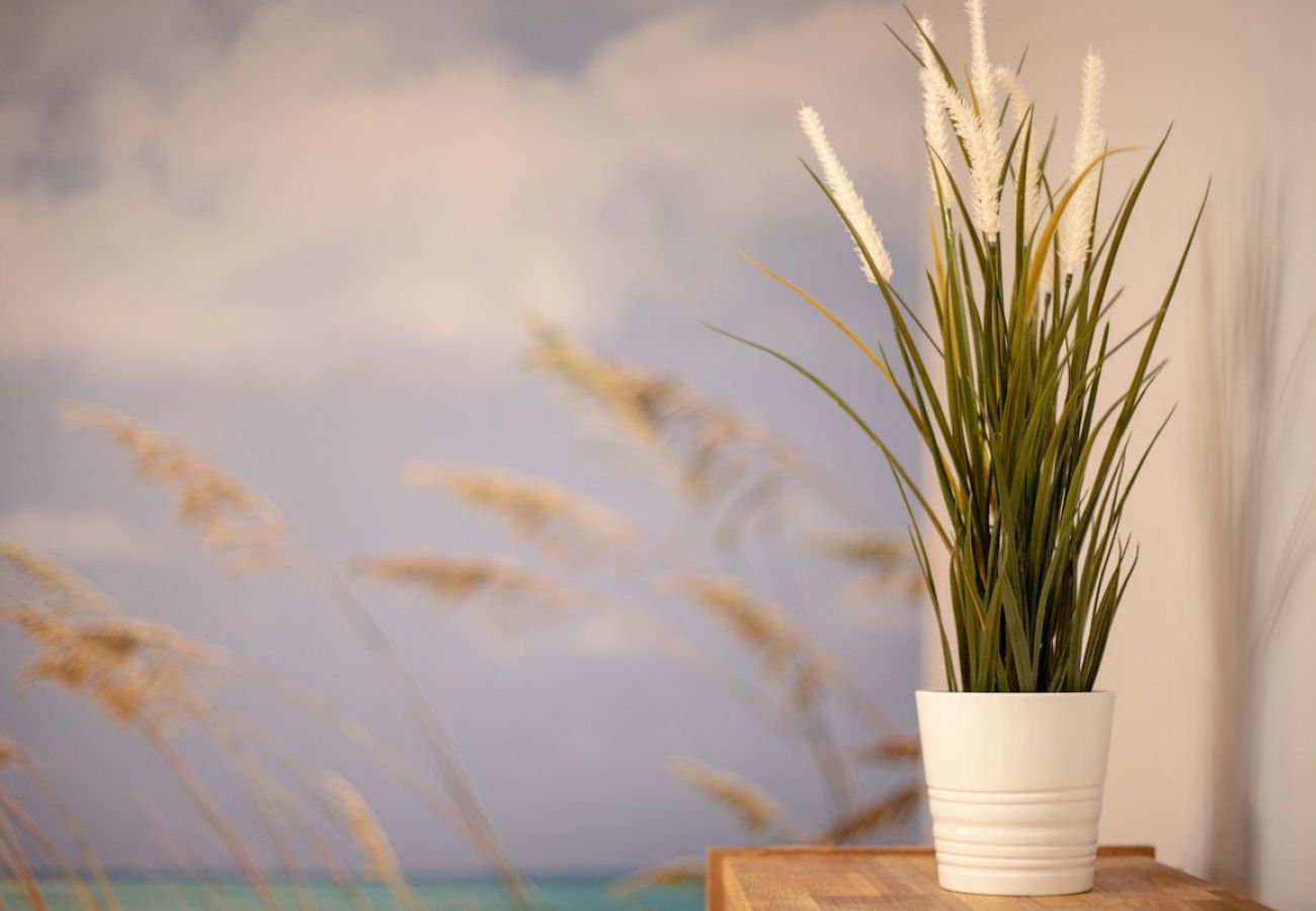 Apartamento en Málaga - -MalagaSunApts- Stylish City Centre Pool&Parking  Apartamento en Málaga - -MalagaSunApts- Stylish City Centre Pool&Parking