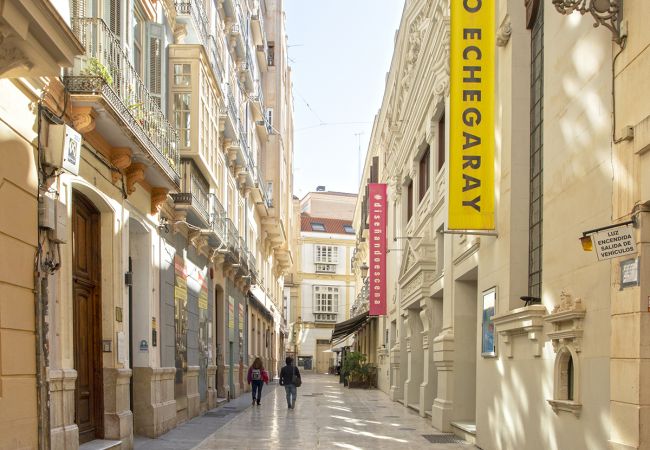 Estudio en Málaga - -MalagaSunApts-Deluxe Historic Centre  Estudio en Málaga - -MalagaSunApts-Deluxe Historic Centre