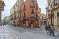 Apartamento en Málaga - -MalagaSunApts-Central Historic Heart