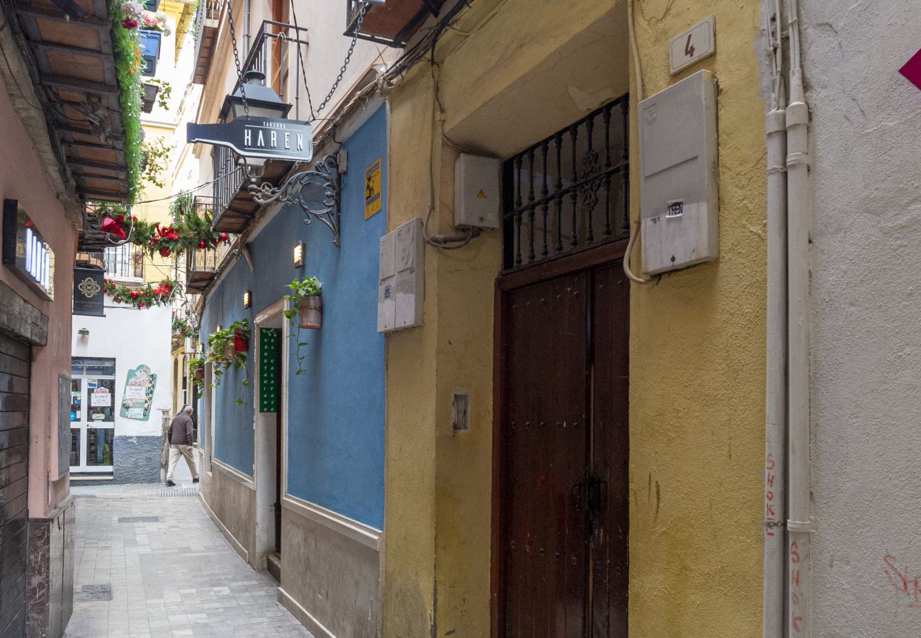 Estudio en Málaga - -MalagaSunApts- Quiet courtyard Andes Perez Estudio en Málaga - -MalagaSunApts- Quiet courtyard Andes Perez