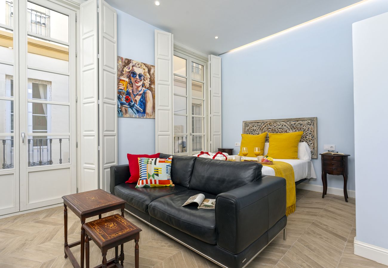 Apartamento en Málaga -  -MalagaSunApts-Picasso Classic&Elegant Apartamento en Málaga -  -MalagaSunApts-Picasso Classic&Elegant