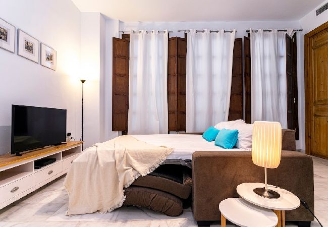 Apartment in Málaga - -MalagaSunApts- Premium Historical CityCentre  Apartment in Málaga - -MalagaSunApts- Premium Historical CityCentre