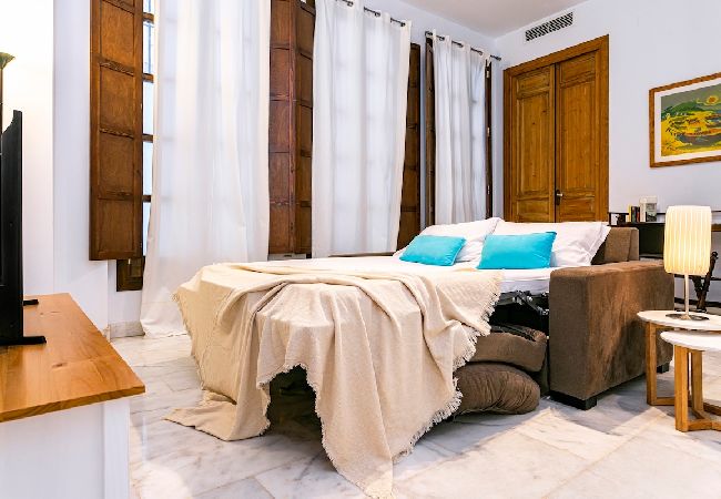 Apartment in Málaga - -MalagaSunApts- Premium Historical CityCentre  Apartment in Málaga - -MalagaSunApts- Premium Historical CityCentre