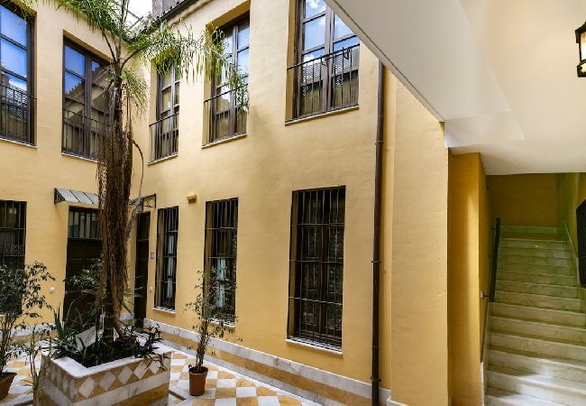 Apartment in Málaga - -MalagaSunApts- Premium Historical CityCentre  Apartment in Málaga - -MalagaSunApts- Premium Historical CityCentre