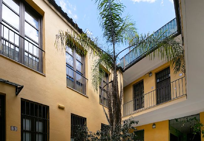 Apartment in Málaga - -MalagaSunApts- Premium Historical CityCentre  Apartment in Málaga - -MalagaSunApts- Premium Historical CityCentre